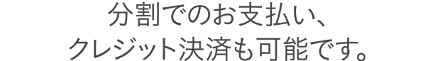 分割でのお支払い、クレジット決済も可能です。